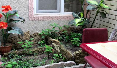 Гостевой дом Александр, г. Анапа, кп. Витязево