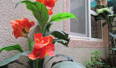 Гостевой дом Александр, г. Анапа, кп. Витязево