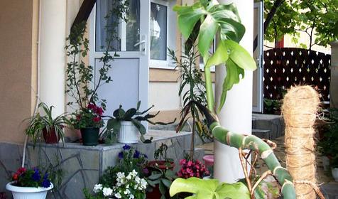 Гостевой дом Афродита, г. Геленджик, с. Дивноморское