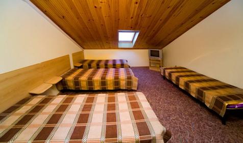 4-местный стандарт. Отель Golden lady, г. Анапа