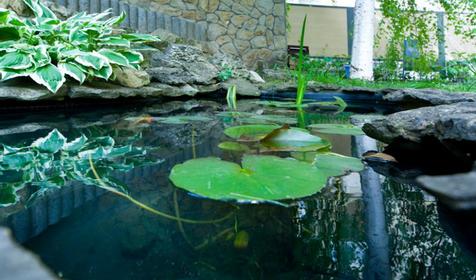 Ландщафт. Отель Golden lady, г. Анапа