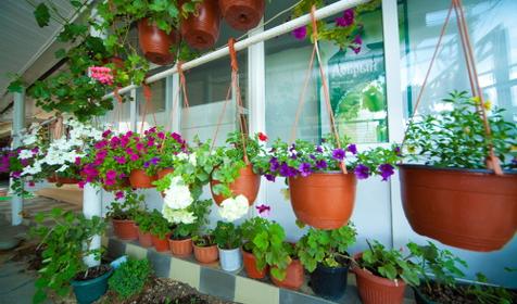 Гостиница Райский уголок, п. Лоо