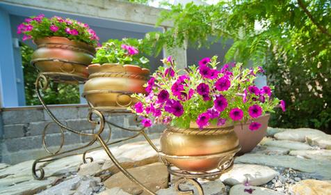 Гостевой дом Алеандр, г. Сочи, Лазаревский район, п. Лоо