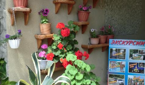 Двор. Гостевой дом Георгий, г. Сочи , п. Лоо