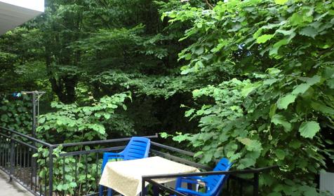 Зона отдыха. Гостевой дом Георгий, г. Сочи , п. Лоо