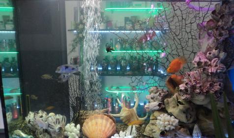 Студия загара Солнечный зайчик, г. Краснодар