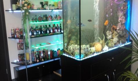 Студия загара Солнечный зайчик, г. Краснодар