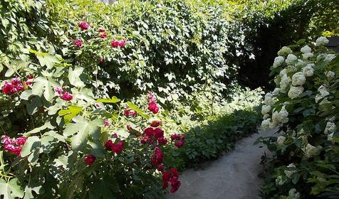 Гостевой Дом на Революционной, 27/1, г. Геленджик