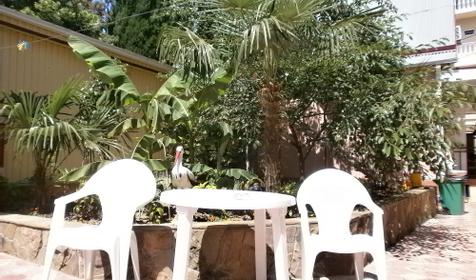 Гостевой дом Ассоль, г. Сочи, п. Лазаревское