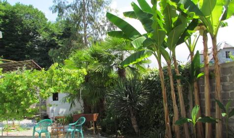 Двор. Гостевой дом Аль@Мари, г. Сочи, Лазаревский район, п. Лоо