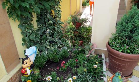 Гостевой дом Орхидея, г. Сочи, п. Лоо