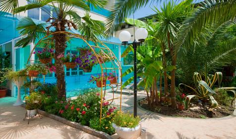 Гостевой дом Дельфин, г. Сочи, Адлер