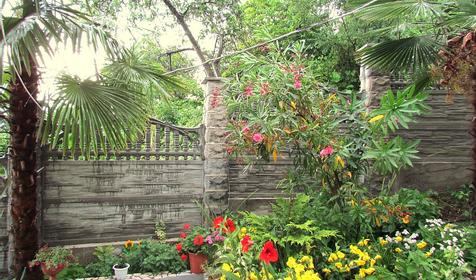 Территория. Гостевой дом Гаяне, г. Сочи, Лазаревский район, п. Лоо