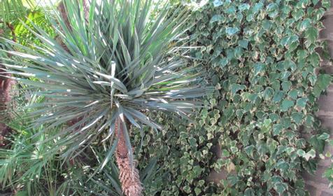 Гостевой дом Аль@Мари, г. Сочи, Лазаревский район, п. Лоо