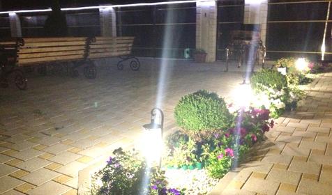 Территория. Гостевой дом Александрия, г. Анапа, п. Витязево