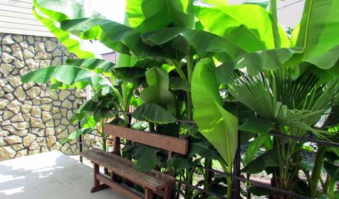 Гостиница Райский уголок, п. Лоо