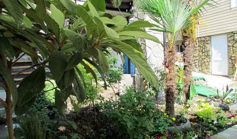 Гостиница Райский уголок, п. Лоо