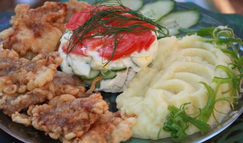 Организация питания. Гостевой дом Диона, г. Геленджик