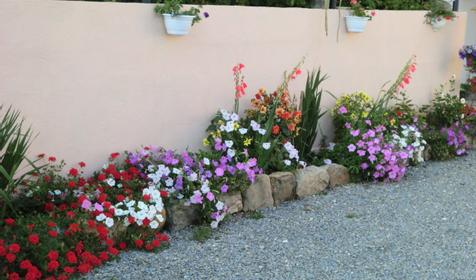 Частная гостиница Авангард, г. Сочи, Лоо