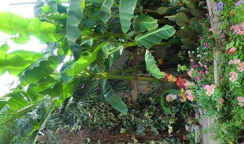 Гостевой дом Берег, Лазаревский район, п. Лоо