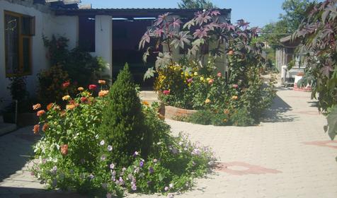 Дворик гостевого дома Дарья, г. Анапа, ст. Благовещенская