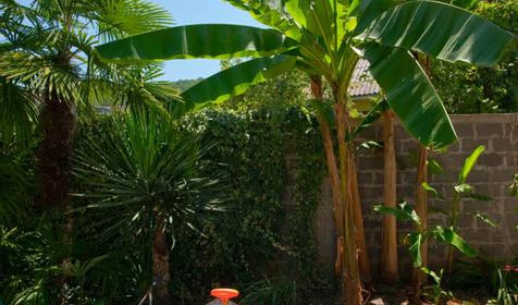 Гостевой дом Аль@Мари, г. Сочи, Лазаревский район, п. Лоо