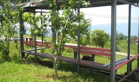 Гостевой дом Alagg, г. Сочи, Лазаревский р-н, п. Лоо