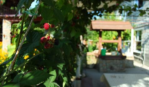 Гостевой дом Жили-Были, Майкопский р-н, п. Каменномостский