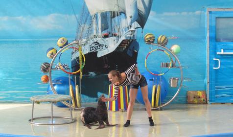 Морской комплекс Анапский Дельфинарий, г. Анапа