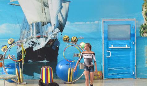 Морской комплекс Анапский Дельфинарий, г. Анапа