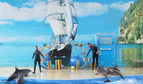 Морской комплекс Анапский Дельфинарий, г. Анапа