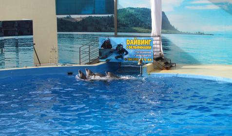 Морской комплекс Анапский Дельфинарий, г. Анапа