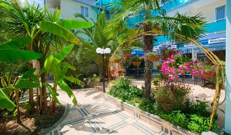 Гостевой дом Дельфин, г. Сочи, Адлер