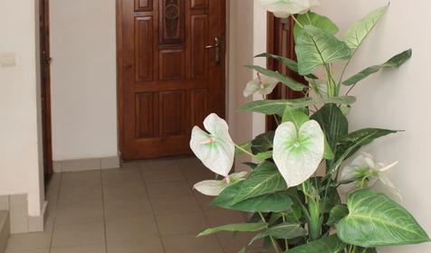 Комнаты по ул. Просвещения 36а, г. Сочи, Адлерский район