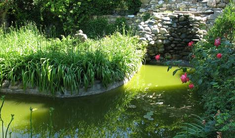 Искусственный водоем. Частное домовладение Дом у моря. Темрюкский район, п. Сенной