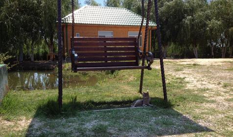 Рыболовно-охотничья база Азовские плавни, Славянский район, х. Ставки