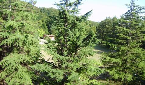 Территория. База отдыха Радуга, Туапсинский район, п. Небуг