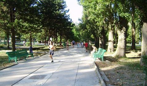 Территория. База отдыха Радуга, Туапсинский район, п. Небуг