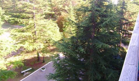 Вид из окна. База отдыха Радуга, Туапсинский район, п. Небуг