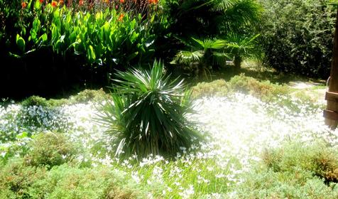 Отель Три И, г. Сочи, Лазаревский район, п. Лоо