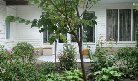 Гостевой дом Азалия, г. Анапа, п. Витязево