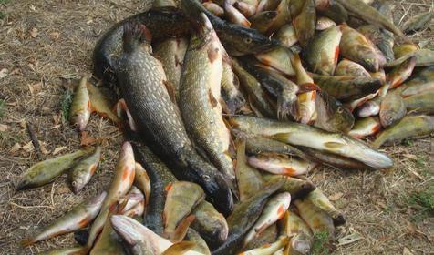 Сезон Охоты-2012