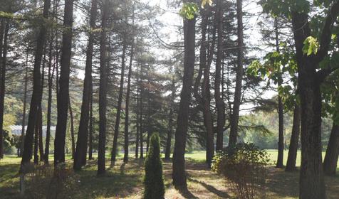 База отдыха Радуга, Туапсинский район, п. Небуг