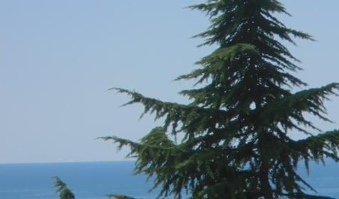 Гостевой дом Валентина, г. Адлер