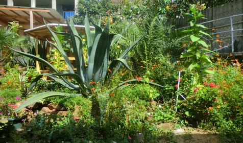 Гостевой дом Валентина, г. Адлер