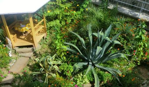 Гостевой дом Валентина, г. Адлер