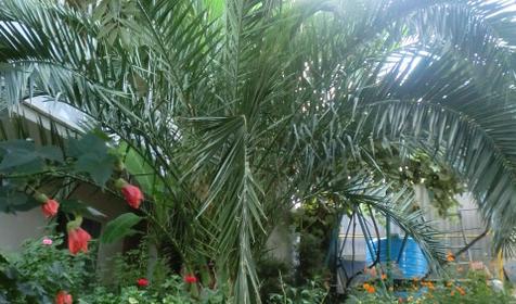 Гостевой дом Горный простор, г. Адлер