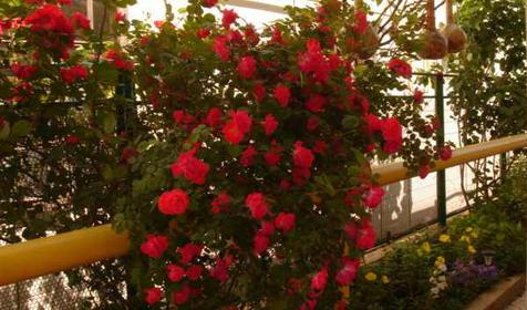 Гостевой дом Лариса, п. Витязево