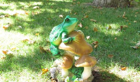 База отдыха Эмеральд, г. Анапа, п. Витязево