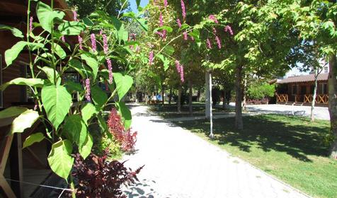 База отдыха Эмеральд, г. Анапа, п. Витязево